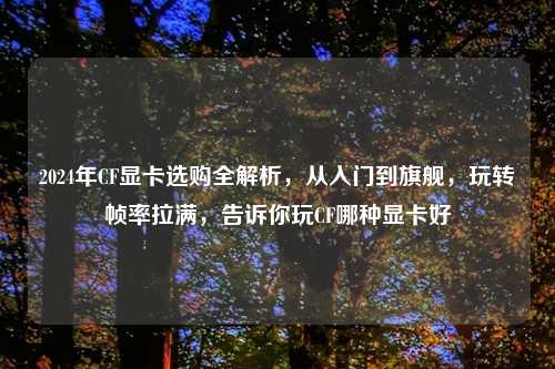 2024年CF显卡选购全解析,从入门到旗舰,玩转帧率拉满,告诉你玩CF哪种显卡好