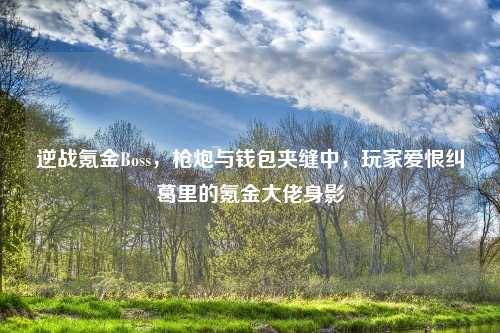逆战氪金Boss,枪炮与钱包夹缝中,玩家爱恨纠葛里的氪金大佬身影