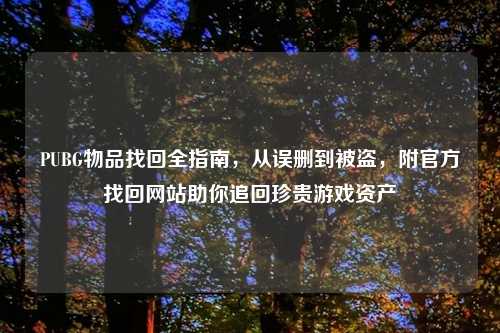 PUBG物品找回全指南,从误删到被盗,附官方找回网站助你追回珍贵游戏资产