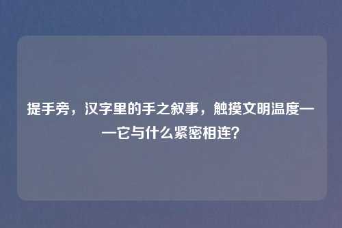 提手旁,汉字里的手之叙事,触摸文明温度——它与什么紧密相连?