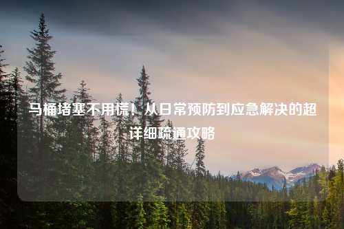 马桶堵塞不用慌!从日常预防到应急解决的超详细疏通攻略