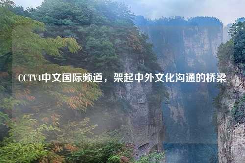 CCTV4中文国际频道，架起中外文化沟通的桥梁