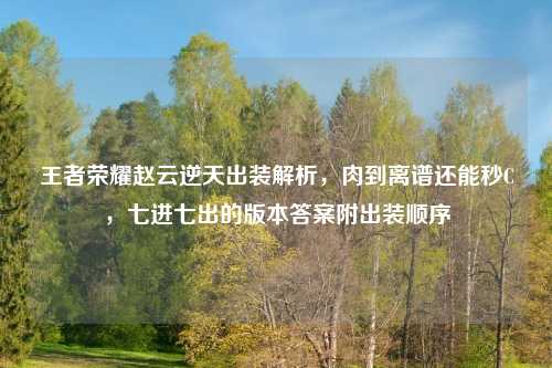王者荣耀赵云逆天出装解析,肉到离谱还能秒C,七进七出的版本答案附出装顺序