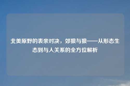 北美原野的表亲对决,郊狼与狼——从形态生态到与人关系的全方位解析