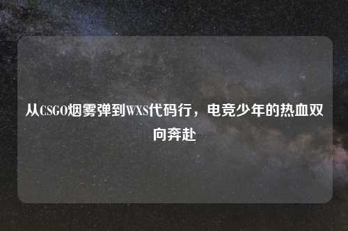 从CSGO烟雾弹到WXS代码行,电竞少年的热血双向奔赴
