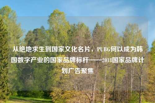从绝地求生到国家文化名片,PUBG何以成为韩国数字产业的国家品牌标杆——2018国家品牌计划广告聚焦