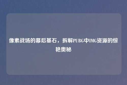 像素战场的幕后基石,拆解PUBG中IMG资源的惊艳奥秘