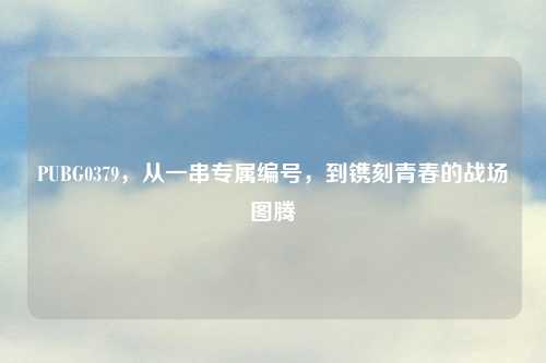 PUBG0379,从一串专属编号,到镌刻青春的战场图腾
