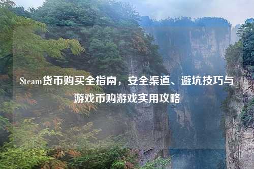 Steam货币购买全指南,安全渠道、避坑技巧与游戏币购游戏实用攻略