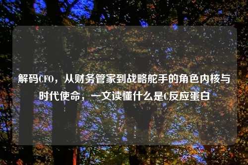 解码CFO,从财务管家到战略舵手的角色内核与时代使命,一文读懂什么是C反应蛋白