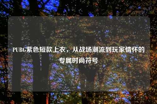 PUBG紫色短款上衣,从战场潮流到玩家情怀的专属时尚符号