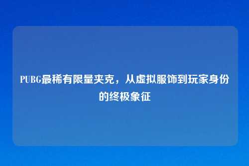 PUBG最稀有 夹克,从虚拟服饰到玩家身份的终极象征