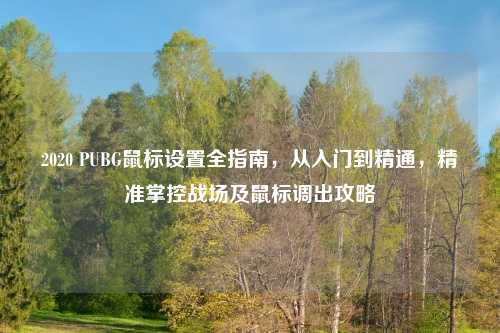 2020 PUBG鼠标设置全指南,从入门到精通,精准掌控战场及鼠标调出攻略