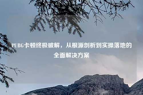 PUBG卡顿终极破解,从根源剖析到实操落地的全面解决方案