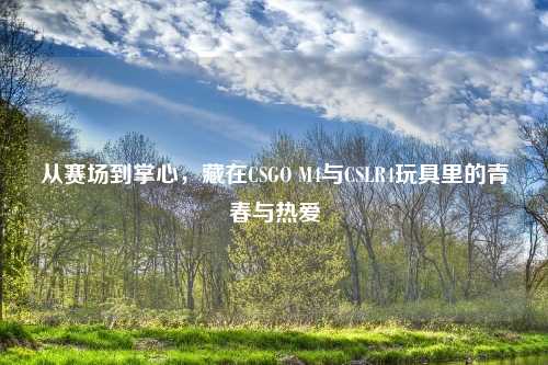 从赛场到掌心，藏在CSGO M4与CSLR4玩具里的青春与热爱
