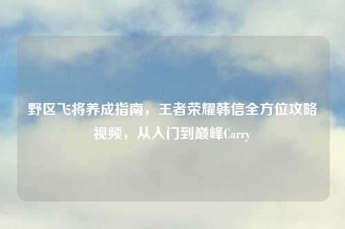 野区飞将养成指南，王者荣耀韩信全方位攻略视频，从入门到巅峰Carry