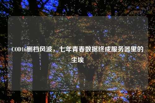 COD16删档风波,七年青春数据终成服务器里的尘埃