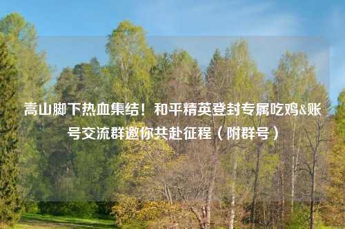 嵩山脚下热血集结！和平精英登封专属吃鸡&账号交流群邀你共赴征程（附群号）