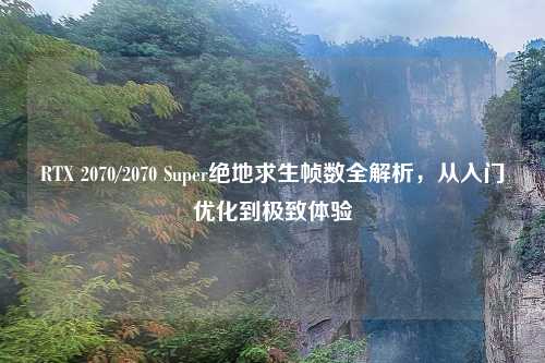 RTX 2070/2070 Super绝地求生帧数全解析,从入门优化到极致体验