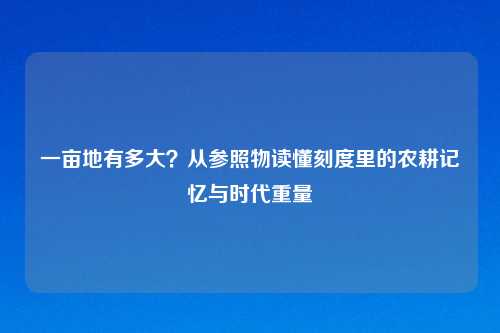 一亩地有多大?从参照物读懂刻度里的农耕记忆与时代重量