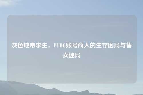 灰色地带求生，PUBG账号商人的生存困局与售卖迷局