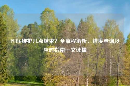 PUBG维护几点结束?全流程解析、进度查询及应对指南一文读懂