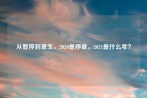从暂停到重生,2020是序章,2021是什么年?
