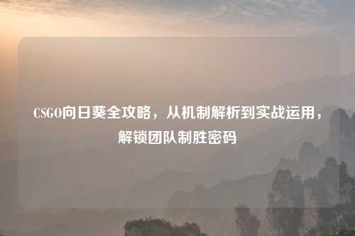CSGO向日葵全攻略,从机制解析到实战运用,解锁团队制胜密码