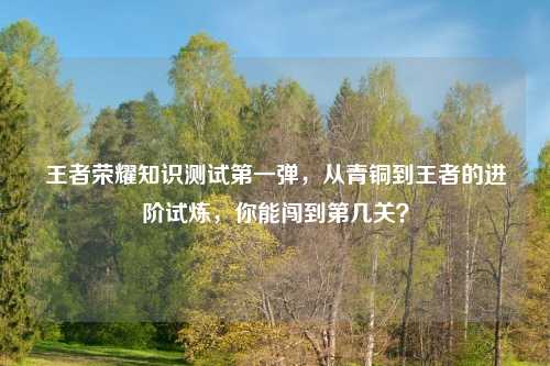 王者荣耀知识测试之一弹,从青铜到王者的进阶试炼,你能闯到第几关?