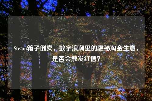 Steam箱子倒卖,数字浪潮里的隐秘淘金生意,是否会触发红信?