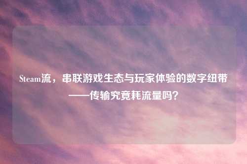 Steam流,串联游戏生态与玩家体验的数字纽带——传输究竟耗流量吗?