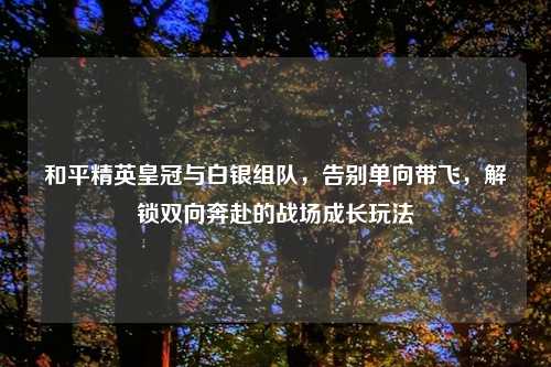 和平精英皇冠与白银组队,告别单向带飞,解锁双向奔赴的战场成长玩法