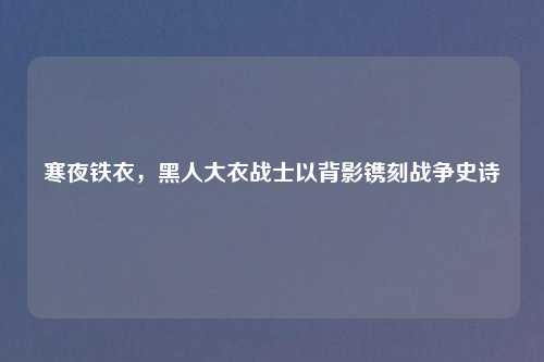 寒夜铁衣,黑人大衣战士以背影镌刻战争史诗