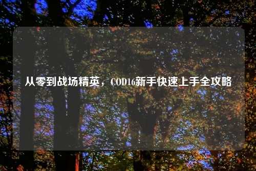从零到战场精英,COD16新手快速上手全攻略