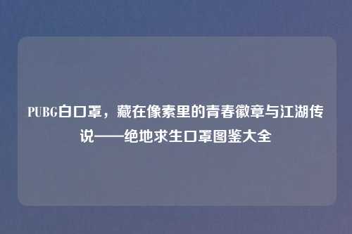 PUBG白口罩,藏在像素里的青春徽章与江湖传说——绝地求生口罩图鉴大全