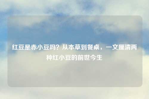 红豆是赤小豆吗?从本草到餐桌,一文厘清两种红小豆的前世今生