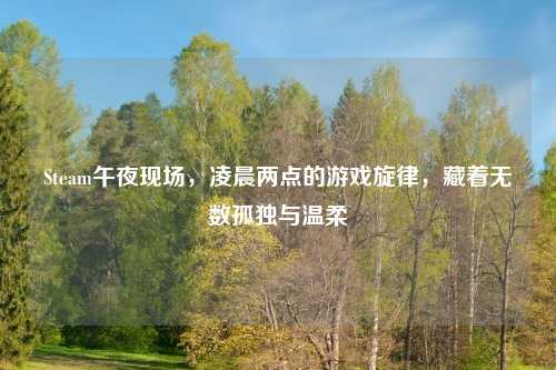 Steam午夜现场,凌晨两点的游戏旋律,藏着无数孤独与温柔