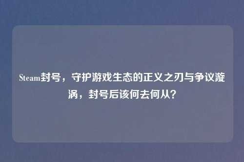 Steam封号,守护游戏生态的正义之刃与争议漩涡,封号后该何去何从?