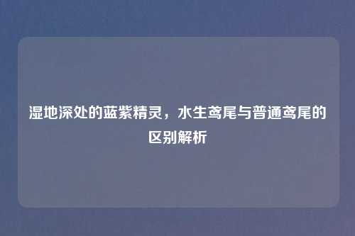 湿地深处的蓝紫精灵,水生鸢尾与普通鸢尾的区别解析