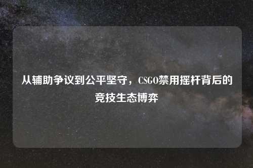 从辅助争议到公平坚守,CSGO禁用摇杆背后的竞技生态博弈