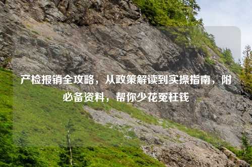 产检报销全攻略，从政策解读到实操指南，附必备资料，帮你少花冤枉钱
