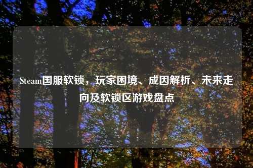 Steam国服软锁，玩家困境、成因解析、未来走向及软锁区游戏盘点
