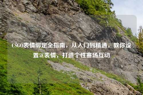 CSGO表情绑定全指南,从入门到精通,教你设置5E表情,打造个性赛场互动