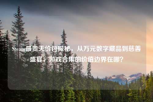Steam最贵天价包探秘,从万元数字藏品到慈善盛宴,游戏合集的价值边界在哪?