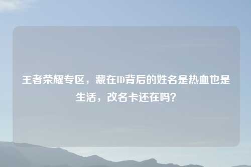 王者荣耀专区，藏在ID背后的姓名是热血也是生活，改名卡还在吗？