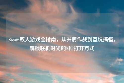 Steam双人游戏全指南,从并肩作战到互坑搞怪,解锁联机时光的N种打开方式