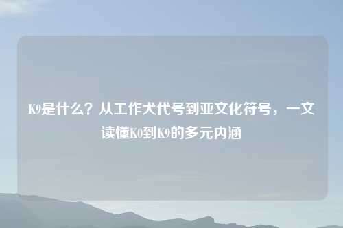 K9是什么？从工作犬代号到亚文化符号，一文读懂K0到K9的多元内涵