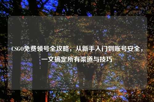CSGO免费领号全攻略,从新手入门到账号安全,一文搞定所有渠道与技巧