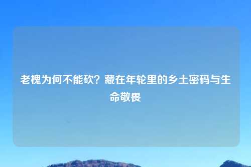 老槐为何不能砍？藏在年轮里的乡土密码与生命敬畏