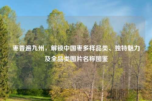 枣香遍九州，解锁中国枣多样品类、独特魅力及全品类图片名称图鉴